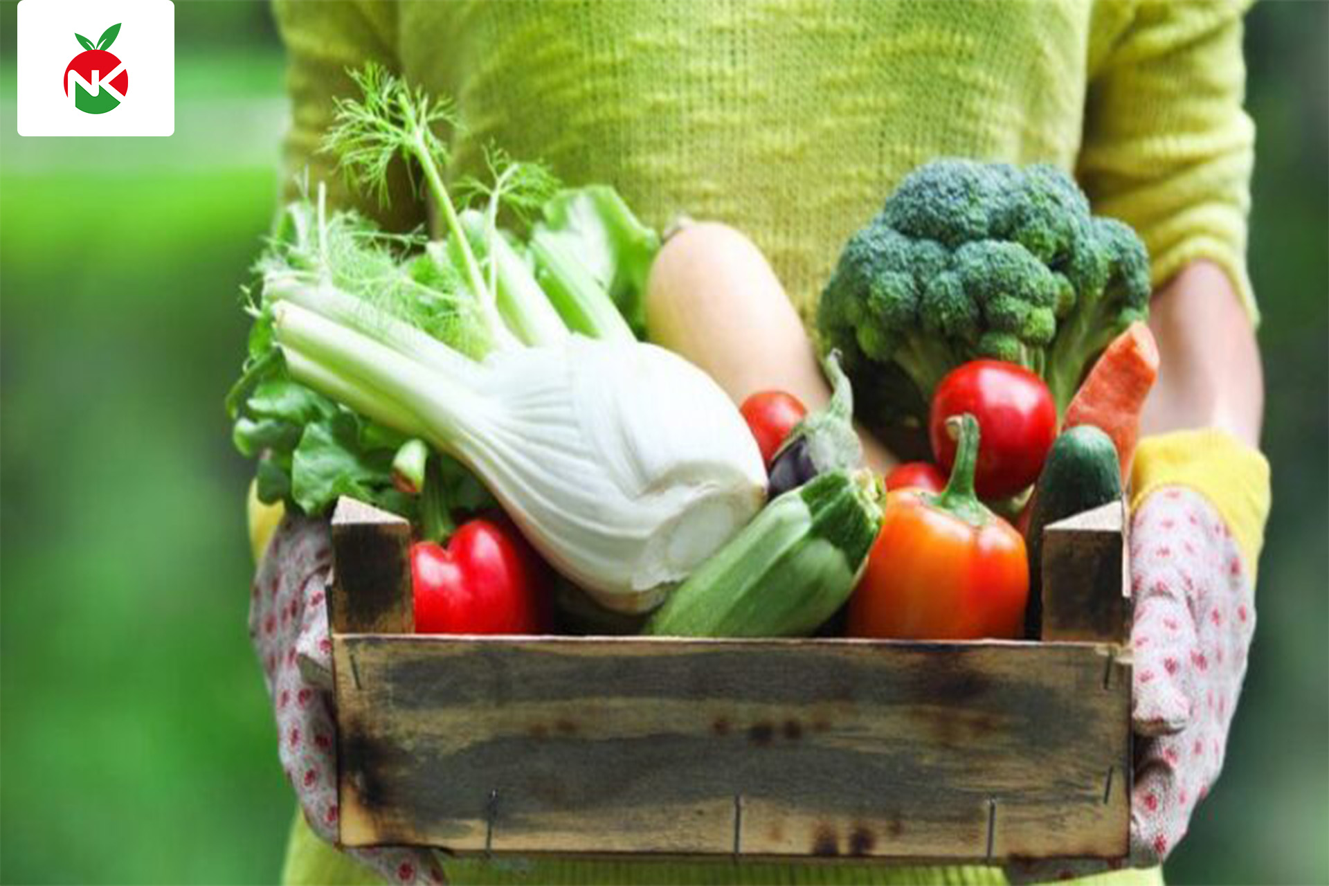 Nguyên Khang Food cung cấp giao thực phẩm tận nơi