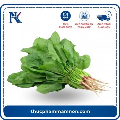 CẢI BÓ XÔI CẢI BÓ XÔI