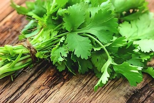 Cách phân biệt các loại rau mùi từ A - Z Cách phân biệt các loại rau mùi từ A - Z