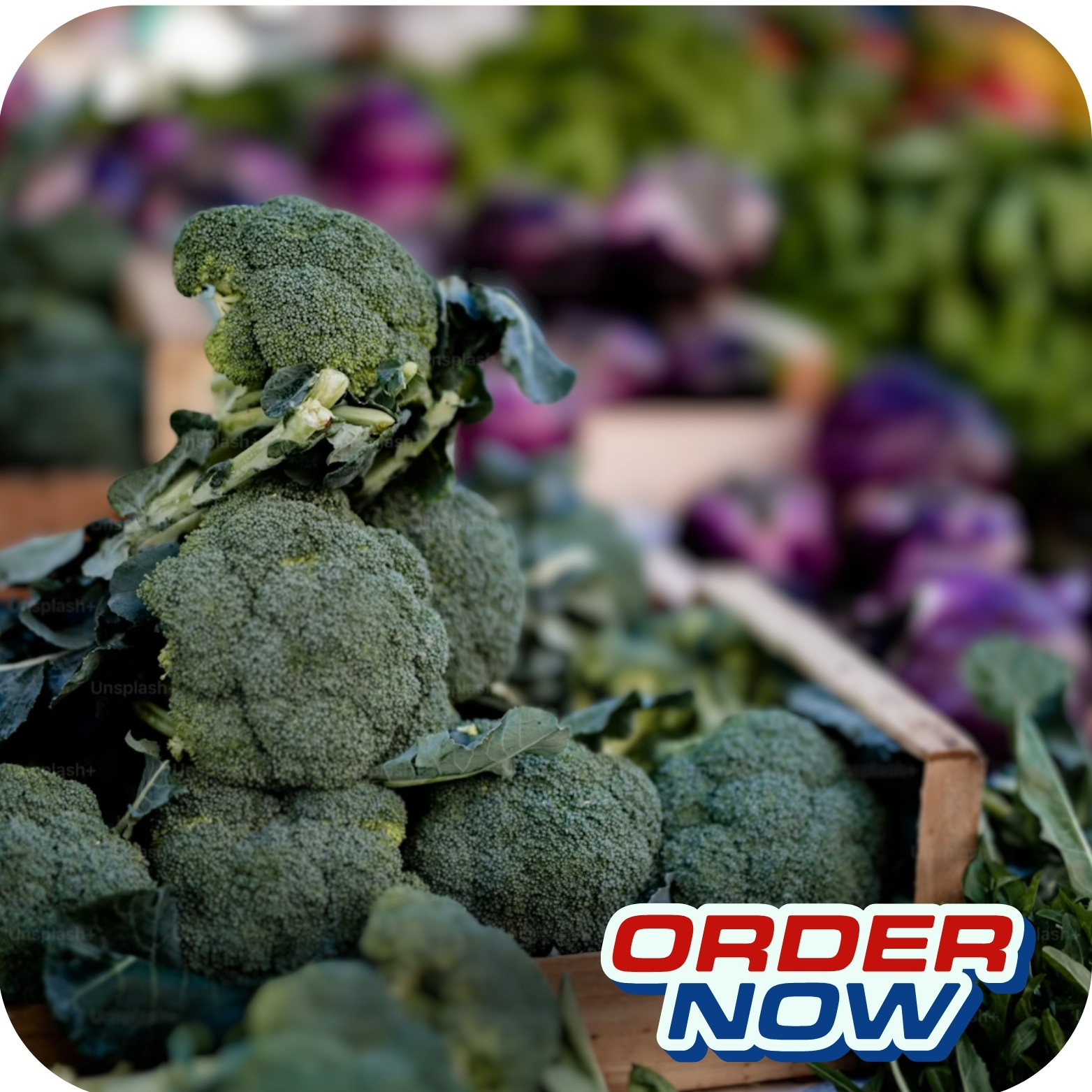 CAM KẾT CHẤT LƯỢNG